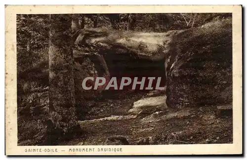 Cartes postales Mont Saint odile Monument druidique