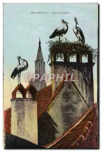 Cartes postales Strasbourg Nid de cigognes