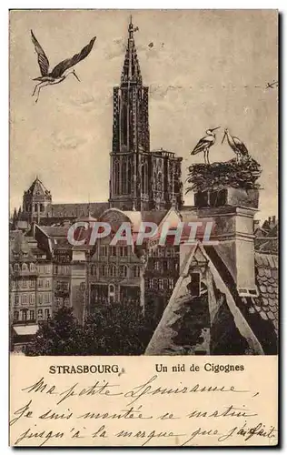 Ansichtskarte AK Strasbourg La cathedrale Un nid de cigognes