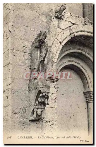 Chartres Cartes postales Cathedrale L&#39ane qui vielle