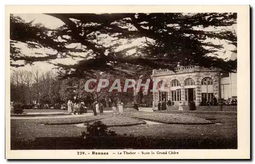 Cartes postales Rennes le Thabor Sous le grand cedre