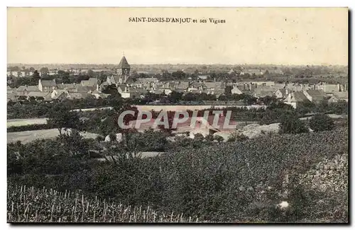 Cartes postales Saint Denis d&#39anjou et ses vignes