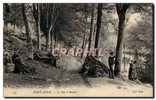 Cartes postales Pont Aven Le bois d&#39amour