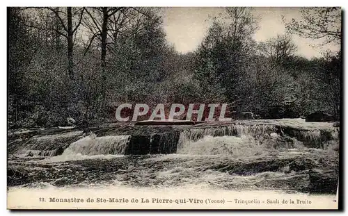 Cartes postales Monastere de Sainte Marie de la Pierre qui Vire Trinquelin Sault de la truite