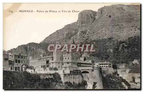 Cartes postales Monaco Monte Carlo Palais du prince et tete de chien