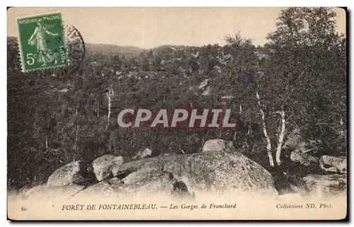 Cartes postales Foret de Fontainebleau Les gorges de Franchard