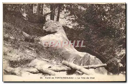 Cartes postales Foret de Fontainebleau La tete de chat