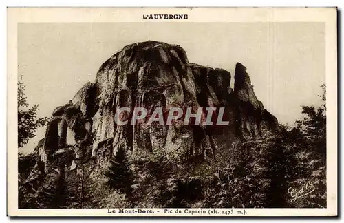 Cartes postales Le Mont Dore Pic du capucin