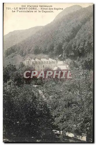 Cartes postales Le Monts Dore Hotel des sapins Le funiculaire et le capucin