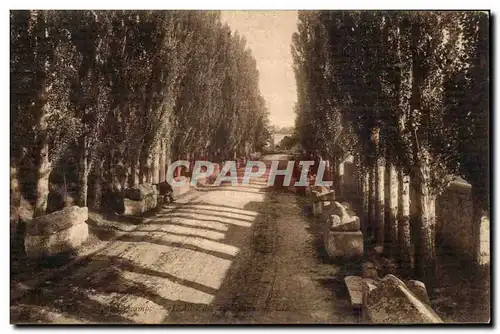 Arles - Les Alyscamps - L&#39Allee des Tombeaux- Ansichtskarte AK