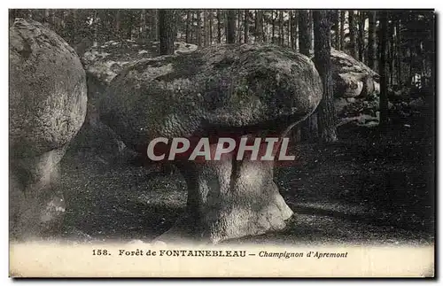 Foret de Fontainebleau - Champignon d&#39Apremont - Ansichtskarte AK