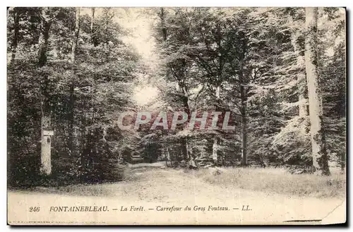 Cartes postales Fontainebleau La foret Carrefour du gros Fouteau