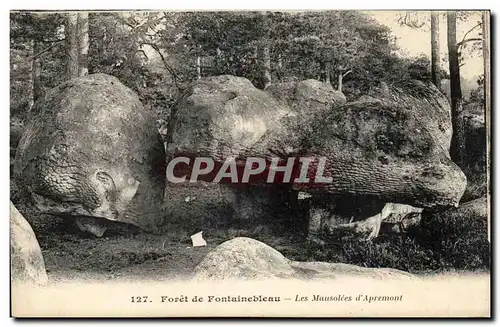 Ansichtskarte AK Foret de Fontainebleau Les mausolees d&#39apremont