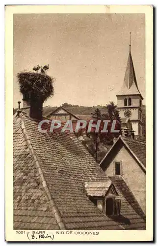 Cartes postales Barr Nid de cigognes