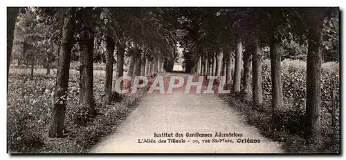 Cartes postales Orleans Institut des gardiennes adoratrices L&#39allee des tilleuls 20 rue St Marc