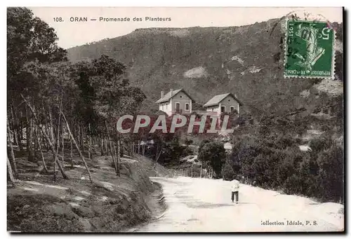 Cartes postales Algerie Oran Promenade des planteurs