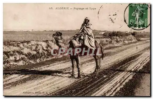 Ansichtskarte AK Algerie paysage et type Camel Chameau