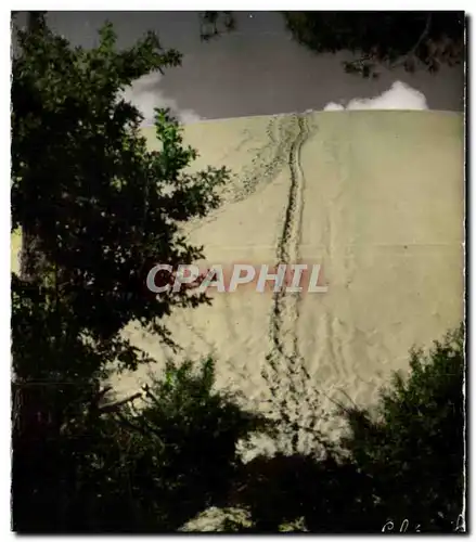 Cartes postales Bassin d&#39Arcachon La montee vers le sommet de la grande dune