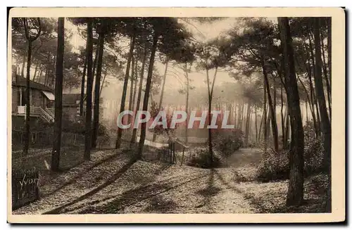 Ansichtskarte AK Arcachon Un joli coin de la ville d&#39hiver