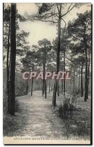 Arcachon Moulleau Cartes postales Clairiere en foret