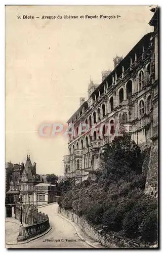 Cartes postales Blois Avenue du chateau et facade Francois 1er