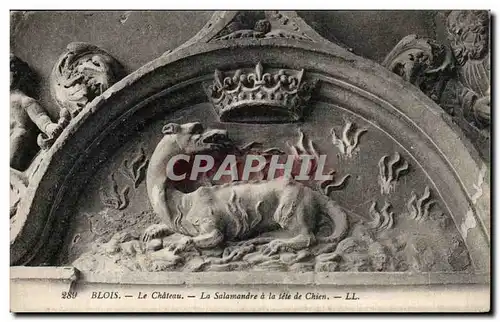 Cartes postales Blois Le chateau La salamandre a la tete de chien Dog