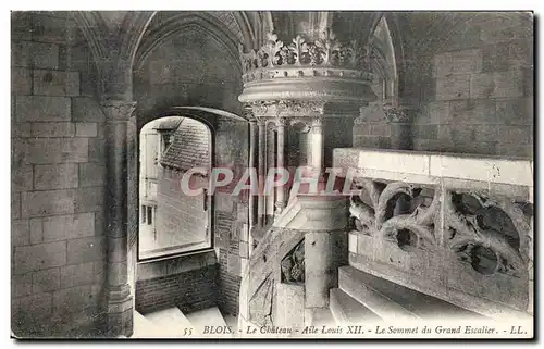 Cartes postales Blois Le chateau Aile Louis XII le sommet du grand escalier