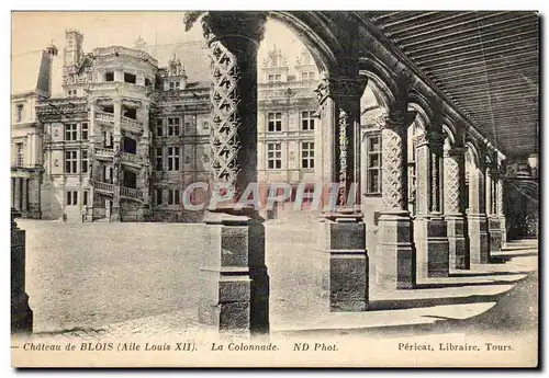 Ansichtskarte AK Blois Le chateau Colonnade