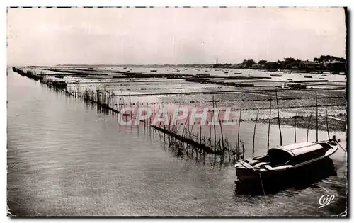 Bassin d&#39Arcachon Cartes postales moderne Parc a huitres