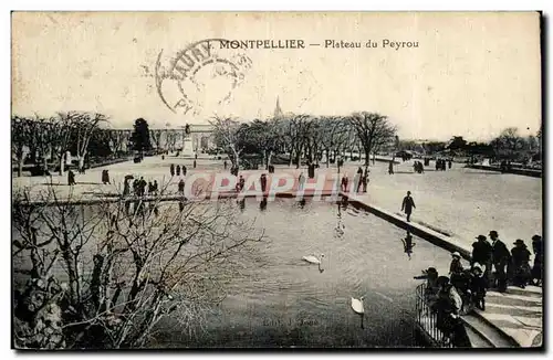 Montpellier Ansichtskarte AK Plateau du Peyrou