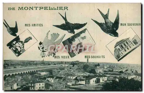 Montpellier Cartes postales Hirondelles