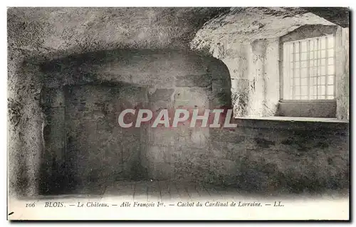 Blois Cartes postales le chateau Aile Francois 1er Cachot du cardinal de lorraine