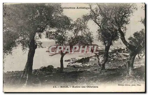 Cartes postales Nice Entre les oliviers