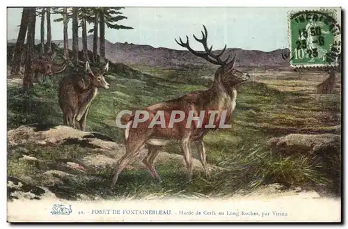 Cartes postales Foret de Fontainebleau Harde de cerfs au long rocher par Virion