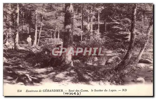 Ansichtskarte AK Environs de Gerardmer Saut des cuves Le sentier du lapin