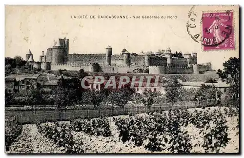 Cartes postales Cite de Carcassonne Vue generale du Nord