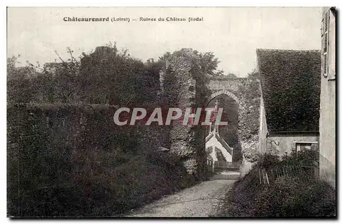 Cartes postales Chateaurenard Ruines du chateau feodal