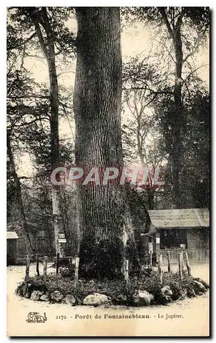 Ansichtskarte AK Foret de Fontainebleau Le Jupiter