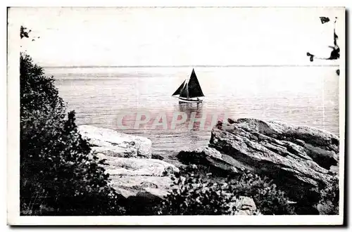 Cartes postales moderne Ile de Noirmoutier Une belle echappee sur lamer au bois de la Chaize