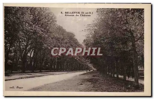 Cartes postales Bellevue Avenue du chateau