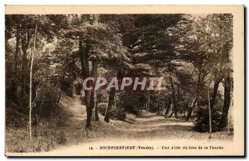 Ansichtskarte AK Rocheserviere Une allee du bois de la Touche