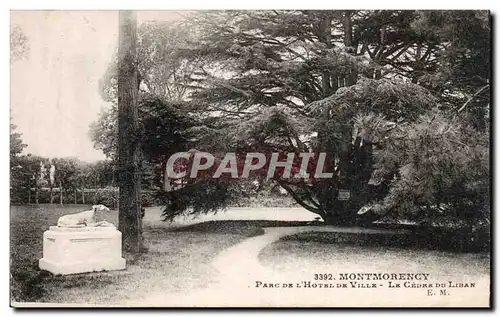 Cartes postales Montmorency Parc de l&#39hotel de ville le cedre du Liban