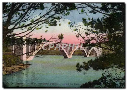 Cartes postales Brest Pont de Plougastel Daoulas a travers les pins