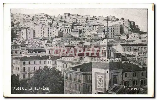 Algerie Alger Ansichtskarte AK la Blanche