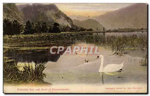 Ansichtskarte AK Waterlily Bay and head of Derwentwater Cygne swan