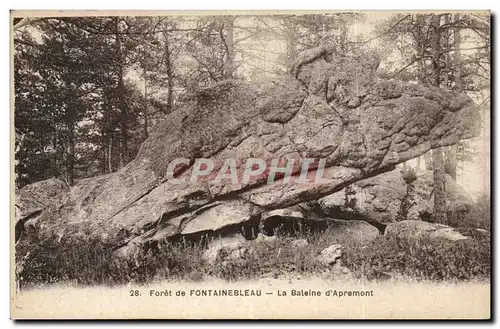 Cartes postales Fontainebleau La baleine d&#39apremont