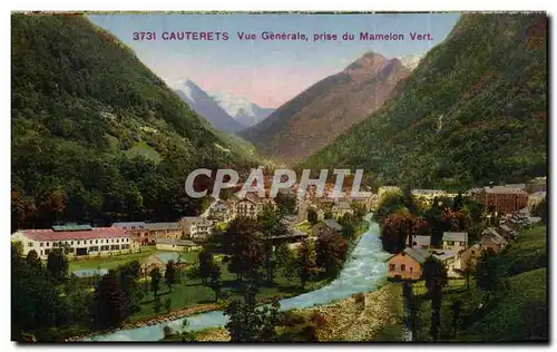 Cartes postales Cauterets Vue generale prise du mamelon vert