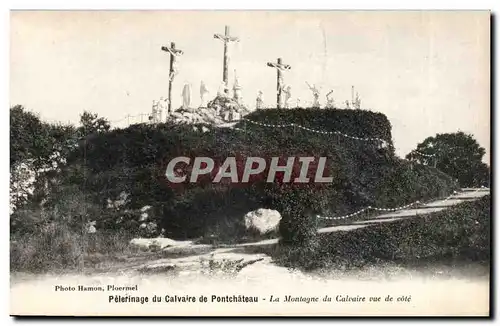 Cartes postales Pelerinage du calvaire de Pontchateau Le chemin de croix La montagne du calvaire vue de cote