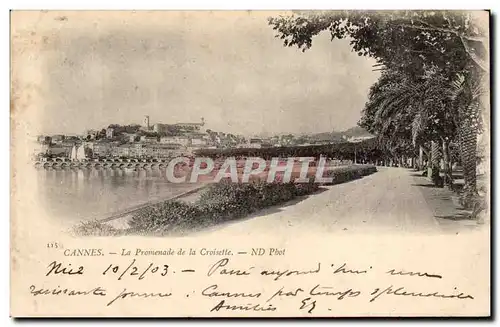 Cartes postales Cannes La promenade de la Croisette