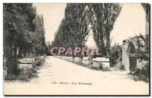 Cartes postales Arles Les Aliscamps